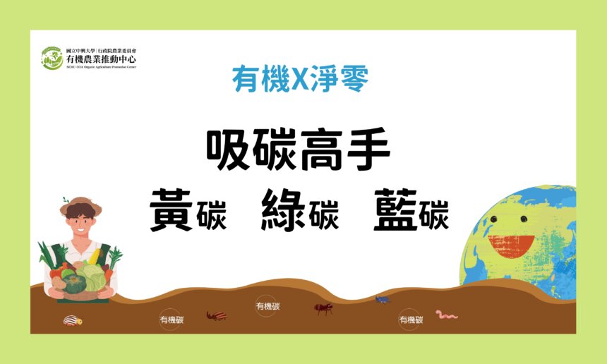 吸碳高手　黃碳綠碳藍碳